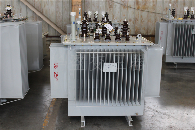 珠海S20-800kVA/10kV/0.4kV变压器